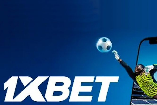 The Ultimate Guide to BettingHub Your Gateway to Sports Betting Success
